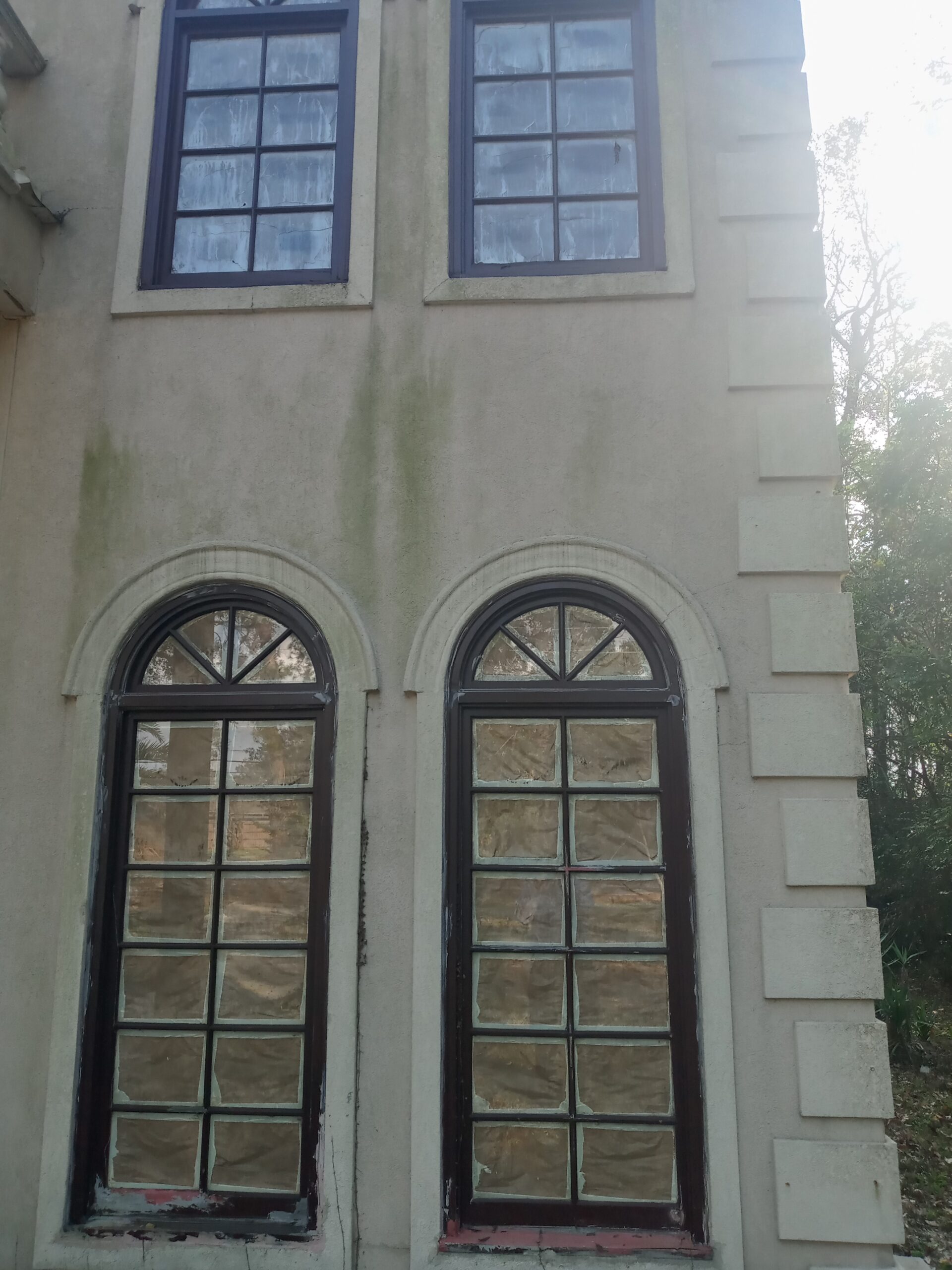 Two tall, arched windows with dark frames on a weathered building exterior, partially obscured by algae, surrounded by greenery.