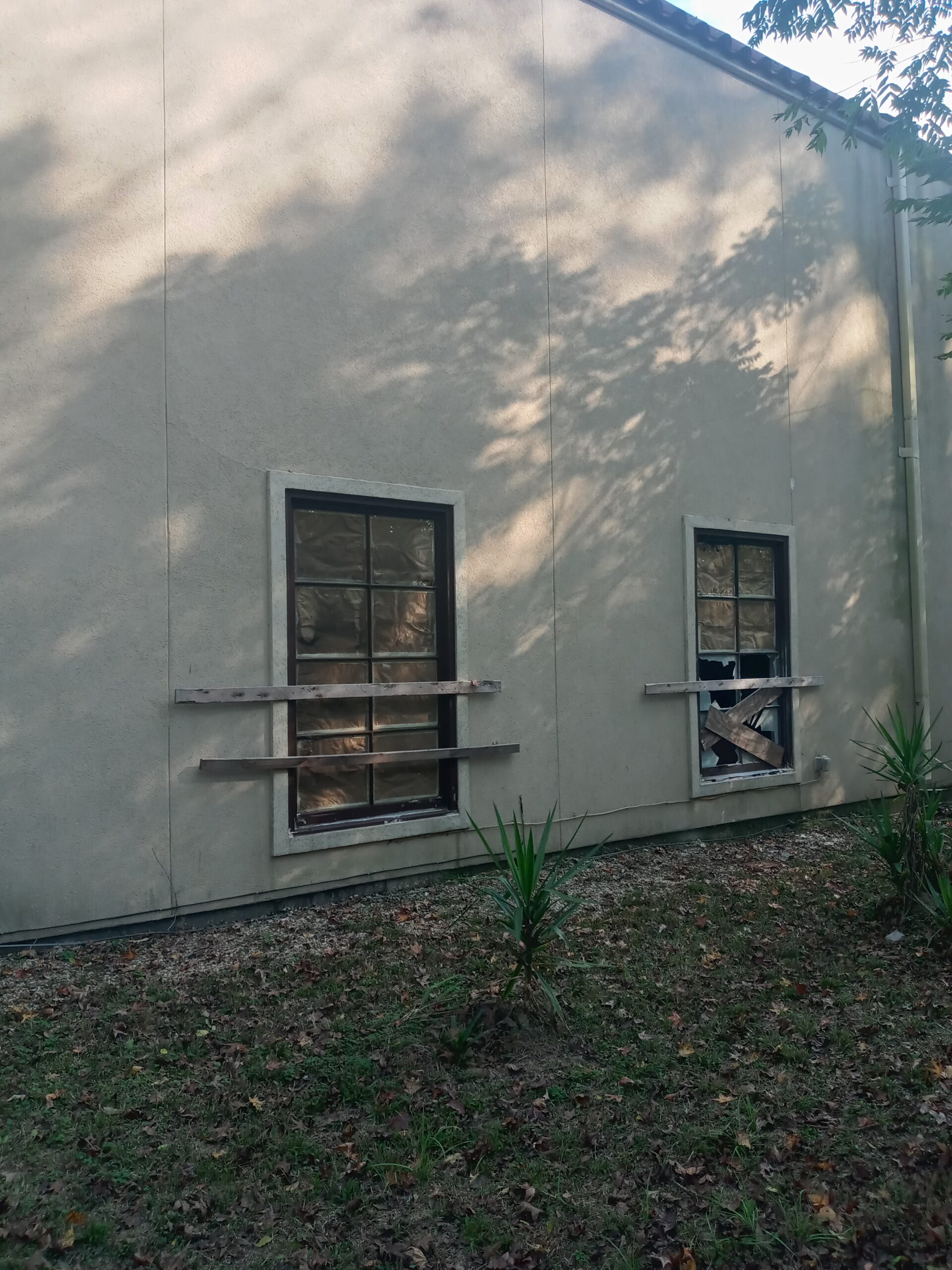 A beige wall with two windows, one partially boarded, located beside a grassy area with scattered plants and shadowy foliage.